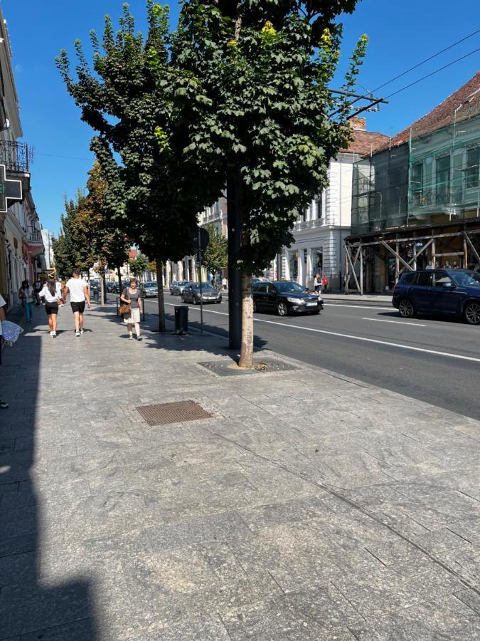 Ndl Downtown Cluj Aparthotel Екстериор снимка